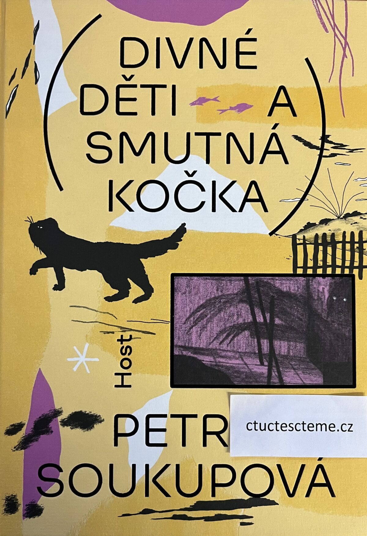Petra Soukupová: Divné děti a smutná kočka
