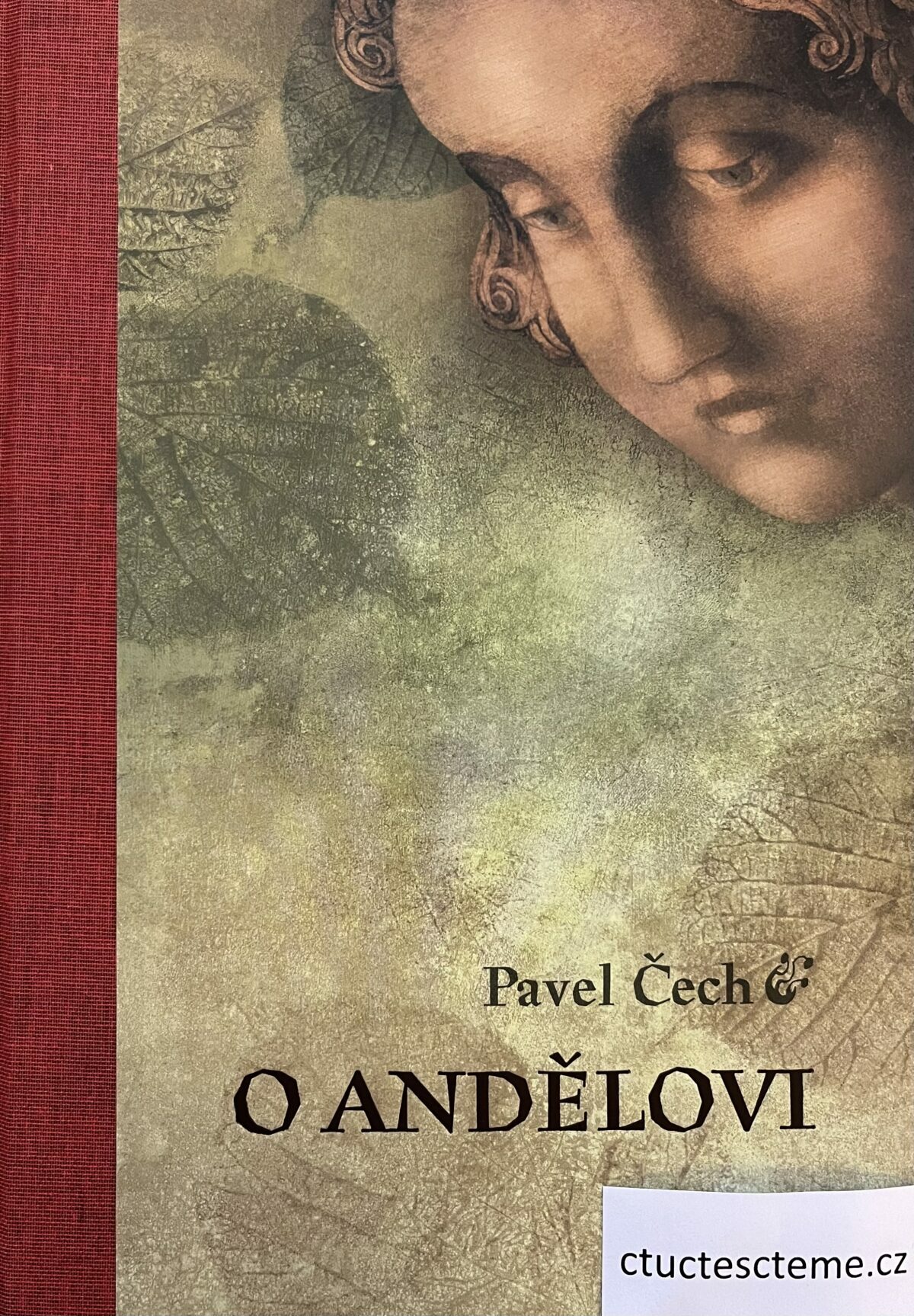 Pavel Čech: O andělovi