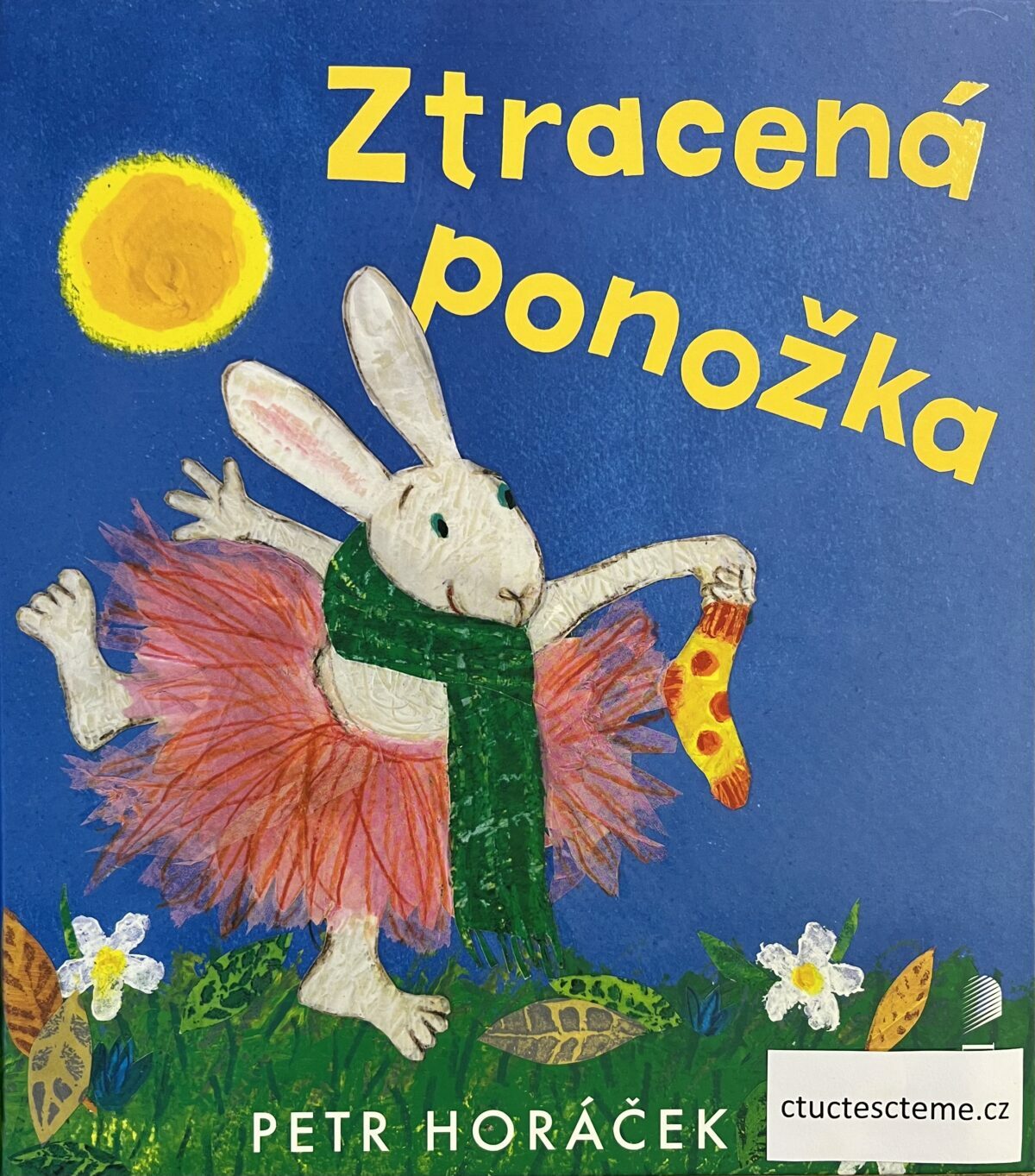 Petr Horáček: Ztracená ponožka